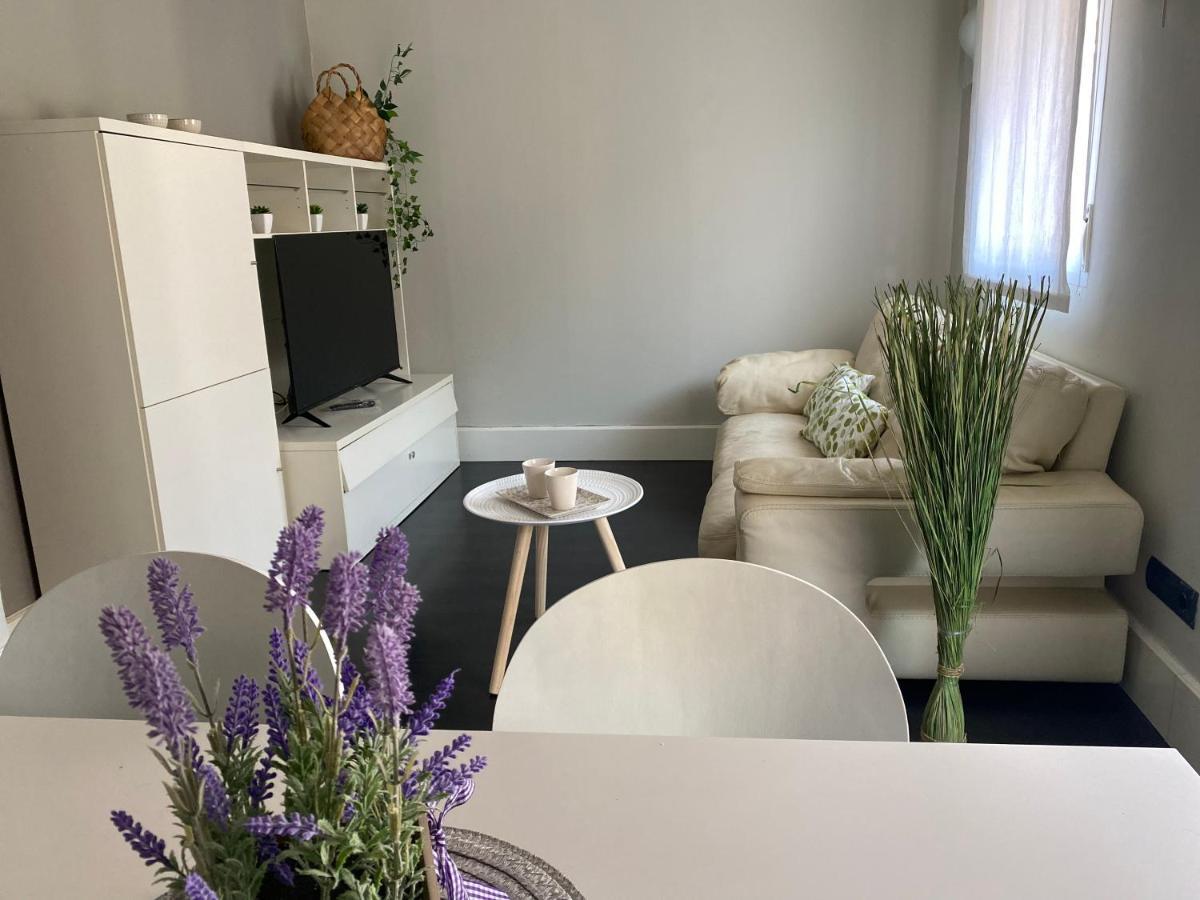 Apartamentos Logrono Centro, Tic Tac, Wifi Exteriér fotografie